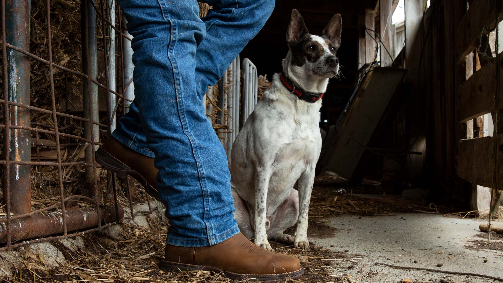 Durango Boots with Dog